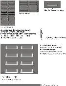 Download de catálogo