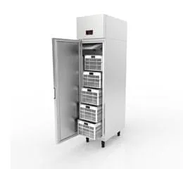 Minicâmara Congelada