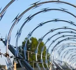 Concertina - Telashop