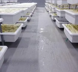 Duraline Color Quartz