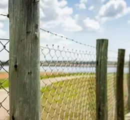 Mourão de Eucalipto - Telashop