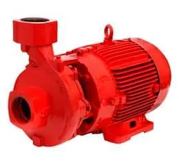 Download de catálogo