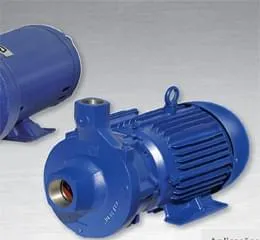 Download de catálogo