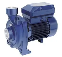 Download de catálogo