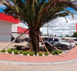 Miniguia – Pavimenti