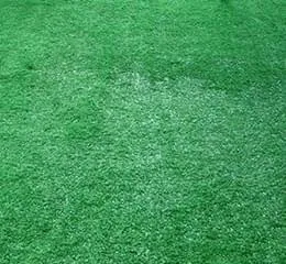 Grama Decorativa – DBL Green Land