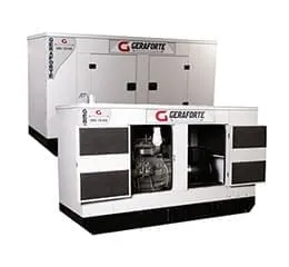 Gerador de Energia - Geraforte