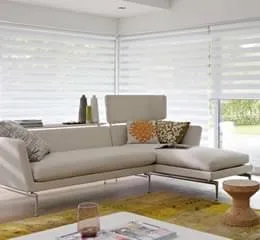 Double Vision Motorizada