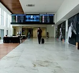 Mármore Michelangelo Calacatta