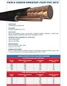 Download de catálogo