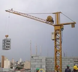 Grua de Pavimento GP 500