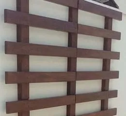 Brise - Renascimento