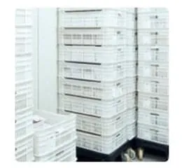 EPS para Câmaras Frigoríficas