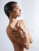 Download de catálogo