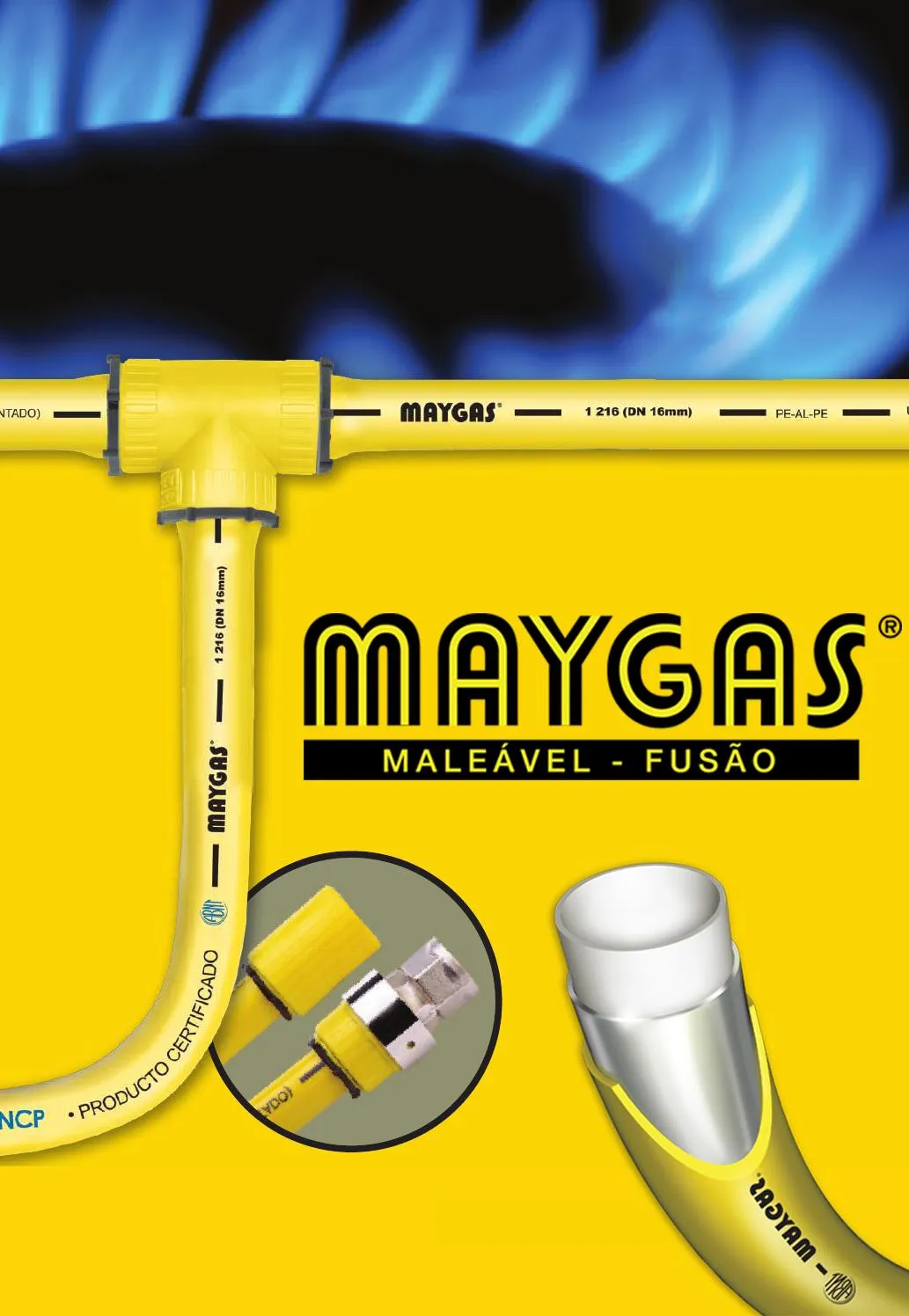 Download de catálogo