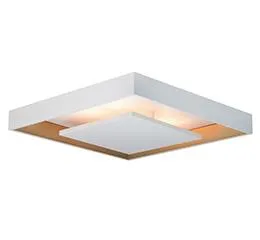 Plafon New Picture LED