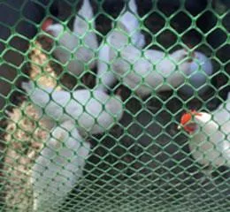 Telas Plásticas – Fixacon