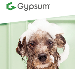 Download de catálogo