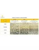 Download de catálogo