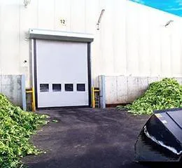 Porta Rápida Vector M2