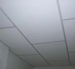 Forro em EPS - Grupo Isorecort