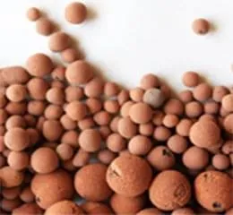 Argila Expandida Refratil