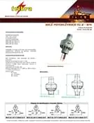 Download de catálogo