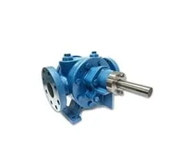 Bomba de Engrenagem Bi-Helicoidal GRW 2½"