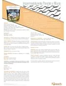 Download de catálogo