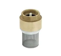 Válvula de Retenção para Fundo de Poço