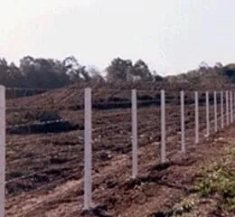 Cerca de Arame Farpado