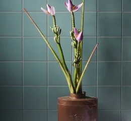 Azulejo Modelo DILL (20 cm x 20 cm)