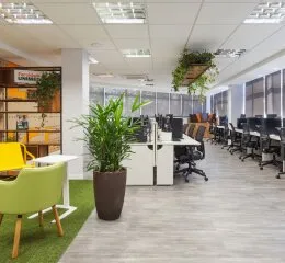 Forros modulares Knauf Ceiling Solutions