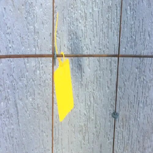 Etiqueta de Identificação