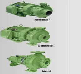 Bombas Normalizadas e Monoblocos