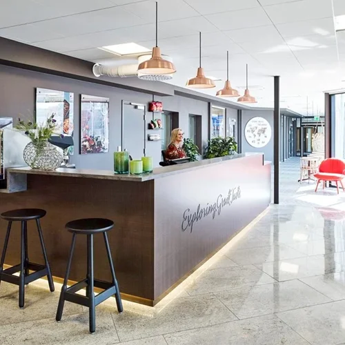 Forro Ecophon Advantage