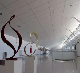 Ecophon Forrovid Boreal Plus