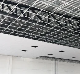 EcoFiber Ceiling