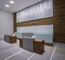 Limestone - Michelangelo