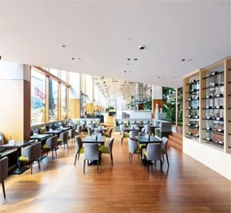 Sistema Acústico ELEGANZA™