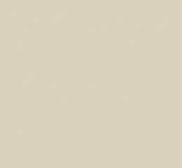 Porcelanato Classic Marfil Acetinado Retificado - ViaRosa