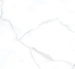 Porcelanato Michelangelo Polido– ViaRosa