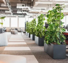 Vasos e Floreiras Autoirrigáveis para Escritórios