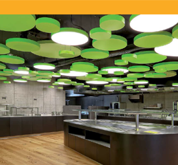 Download de catálogo