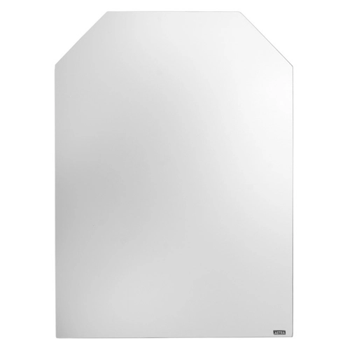 Espelho Bromélia 45Cm X 60Cm Flora Astra