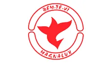 Borrachas Bem Te Vi - Logo