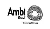 Ambi Brasil-Logo