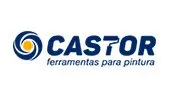 Castor Pintura-Logo