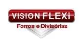 Vision Flexi-Logo