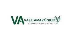 Borrachas Cambuci - Logo